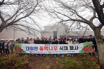 제81회 식목일 기념 대청면 동백나무 식재 행사