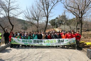 제81회 연평면 나무심기 행사